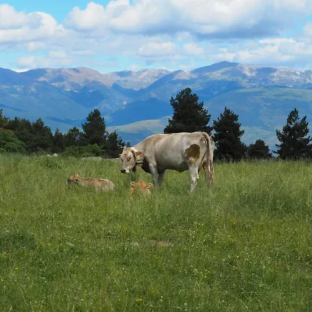 A La Molina, Grans Vistes, Llar De Foc * La Molina (Girona)